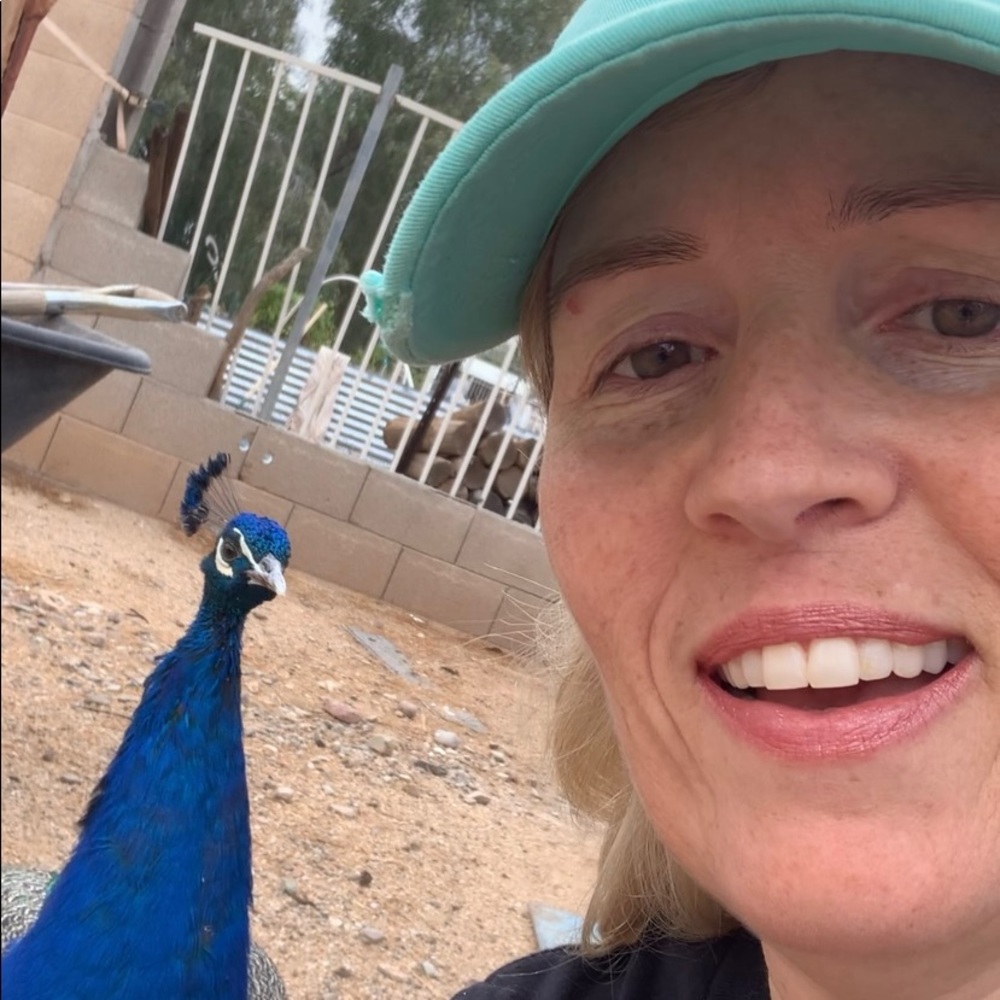 Meet your Posher, Sheila